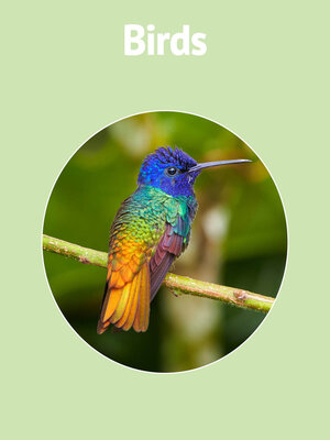 cover image of Birds